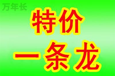 1790047237393422.jpg